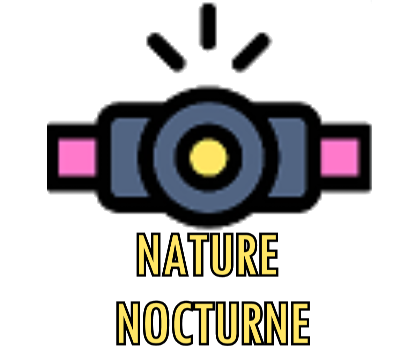 Nature Nocturne