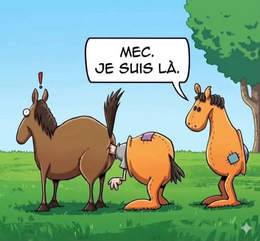 Photo de profil